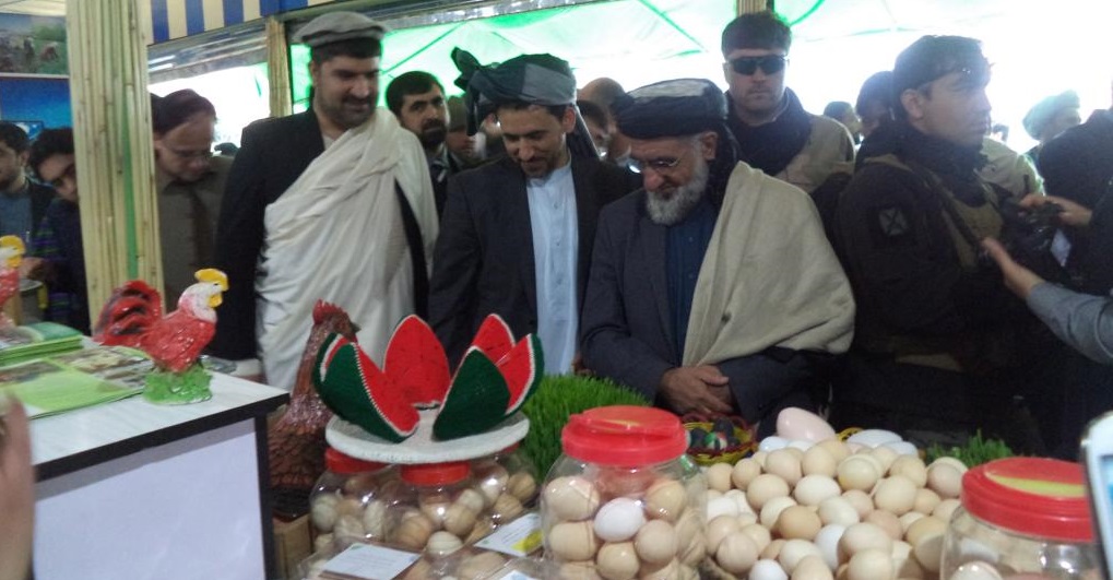 Poulty projects of AREP